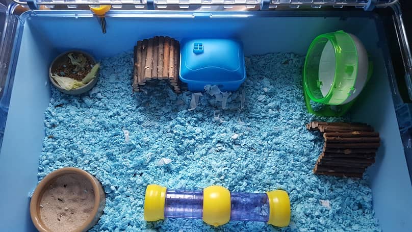 How To Clean A Hamster Cage Dwarfhamsterhome Com,How To Get Gasoline Smell Out Of Clothes And Shoes
