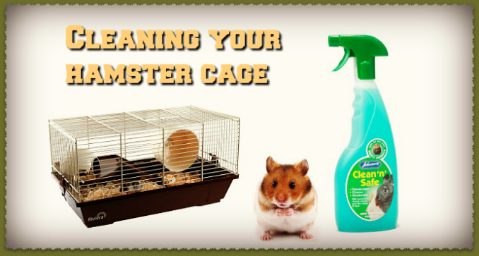hamster cage smell